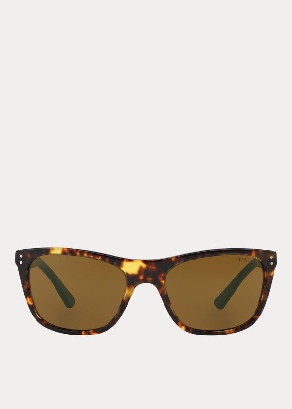 Men's Polo Ralph Lauren Color-Blocked Sunglasses | 126347OYZ